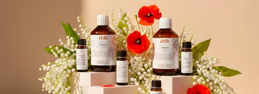 tendances printemps 2026