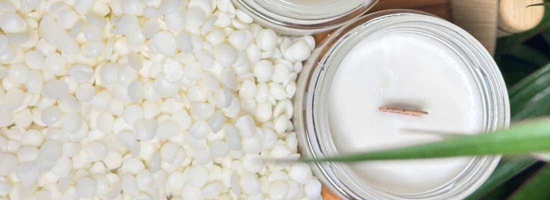 tout savoir sur les cires