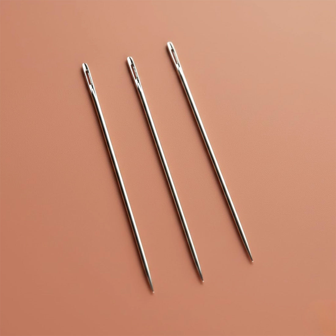 Aiguilles pour moules - Lot de 6