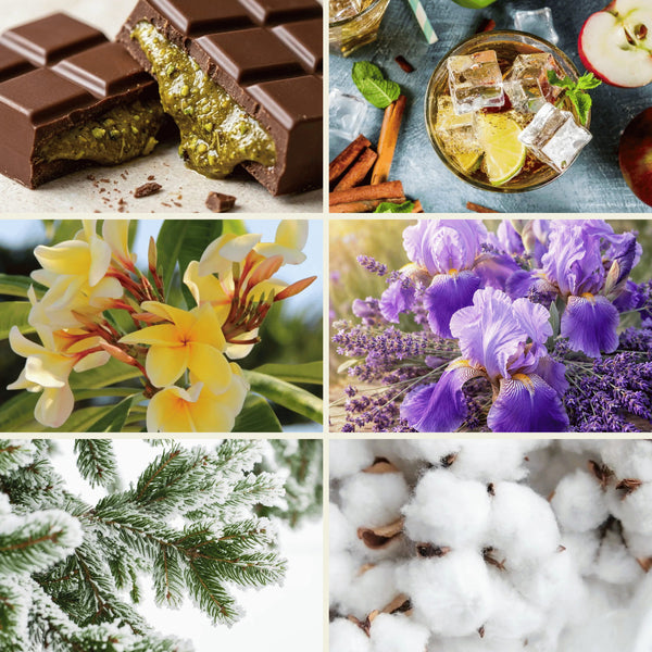Planche d'ambiance du Lot découverte : brownie, fleurs, iris, sapin et coton