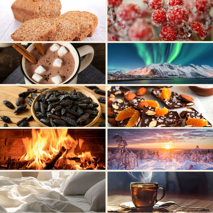 Pack de 10 parfums thématiques de Grasse