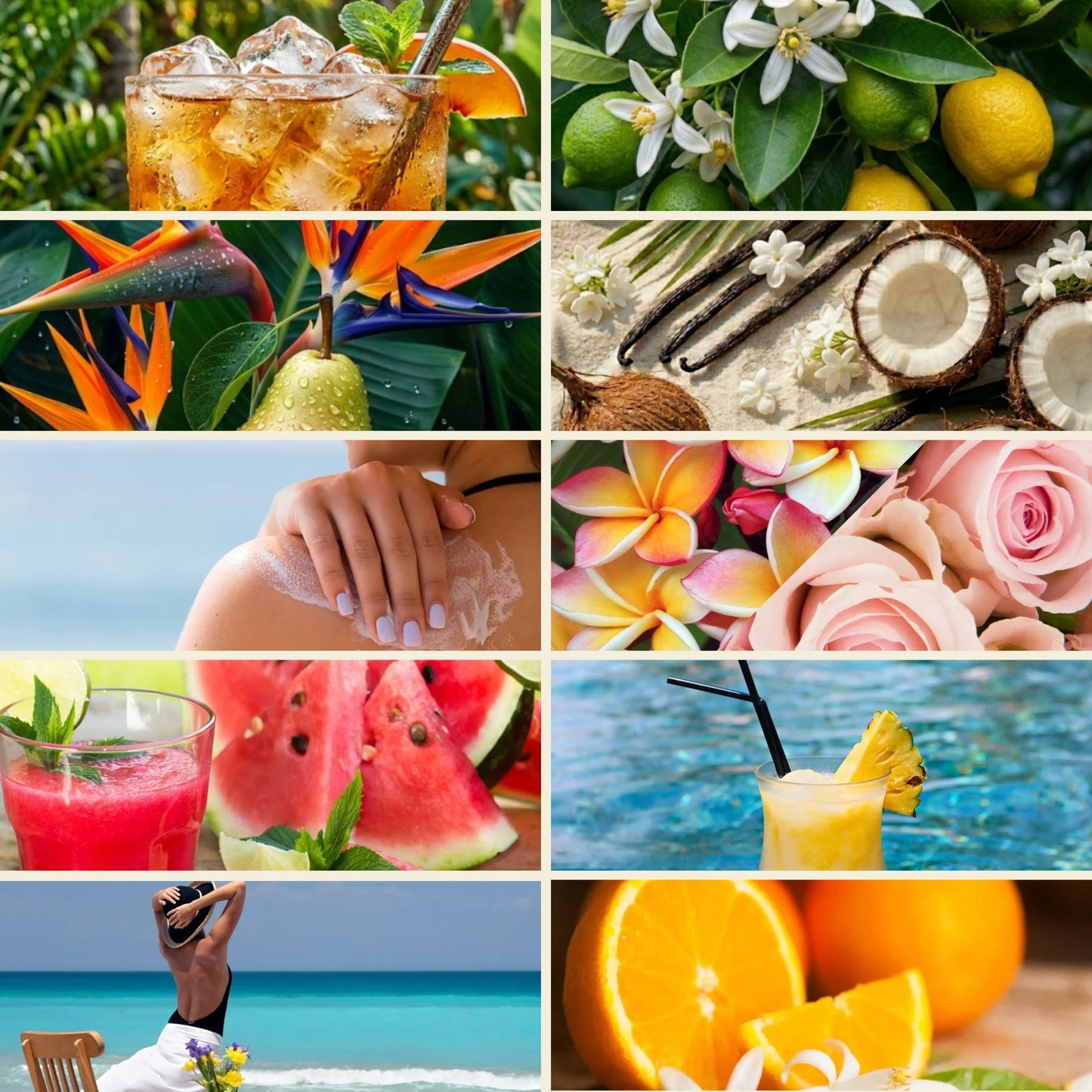Estuche de 10 perfumes temáticos de Grasse kit accesorio fabricación vela artesanal DIY Terre de Bougies
