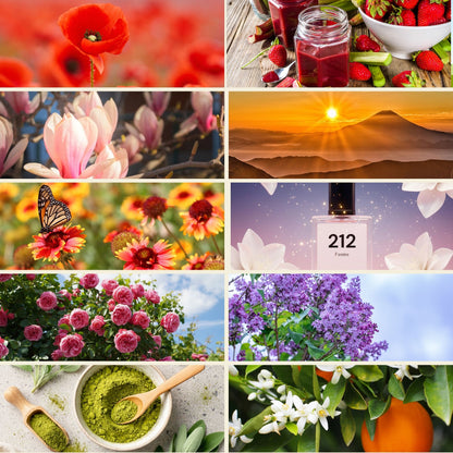 Packung mit 10 thematischen Düften aus Grasse