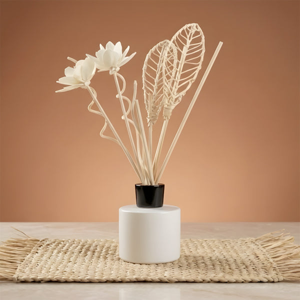 Pack de tiges pour diffuseurs