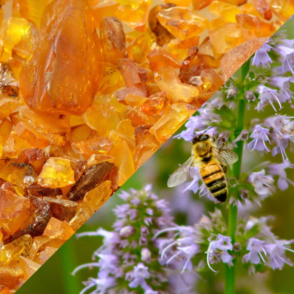 Perfume for Candles Amber patchouli Grasse