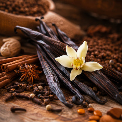 Vanille épicée parfum gourmand de Grasse pour bougies fondants et diffuseurs