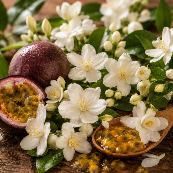 Jasmin passion parfum fleuri de Grasse pour bougies fondants et diffuseurs