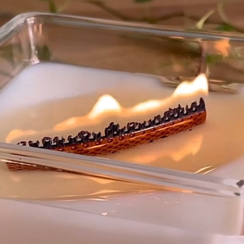 bruit meche en bois perforée