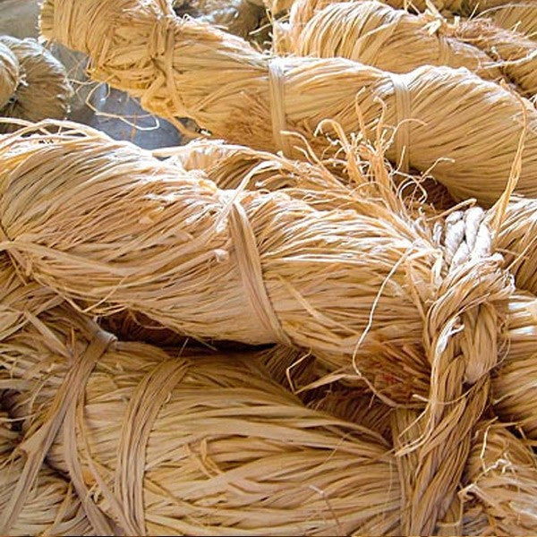 Le Rafia Natural plant raffia from Madagascar