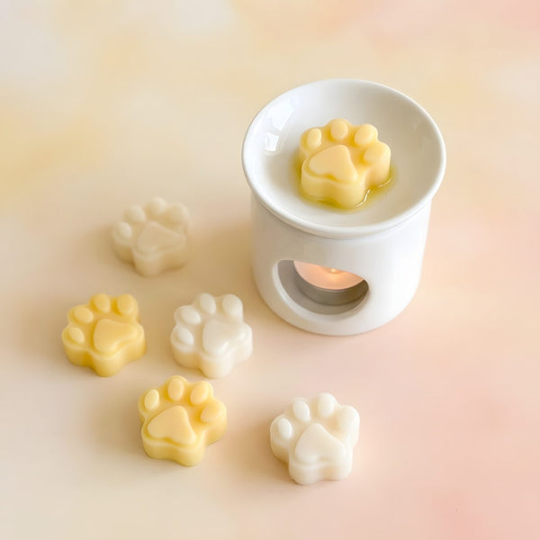 Kit de fondant - Mes premiers Fondants parfumés détail vue alternative artisanat fabrication Terre de Bougies